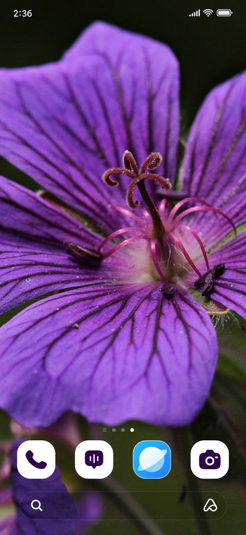 Mystic Bloom screenshot