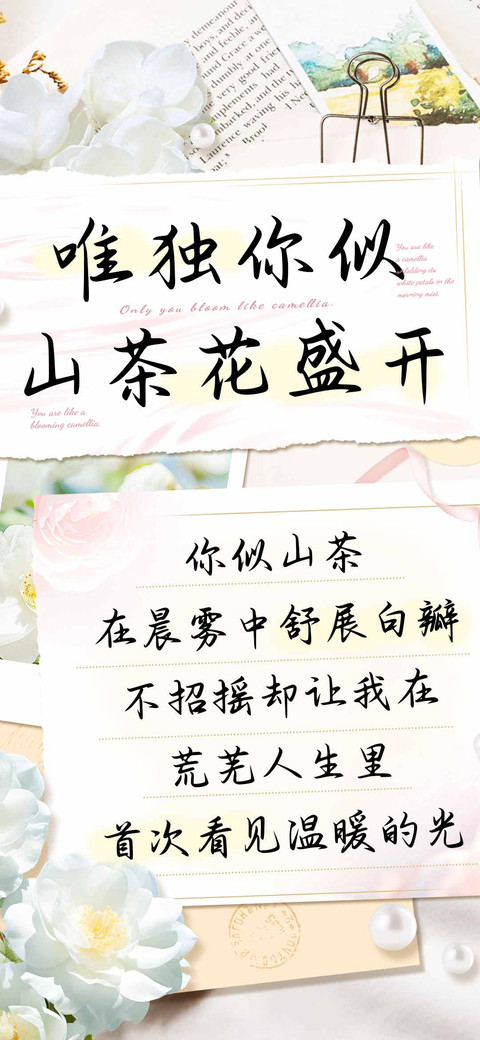 唯独你似山茶花盛开 screenshot