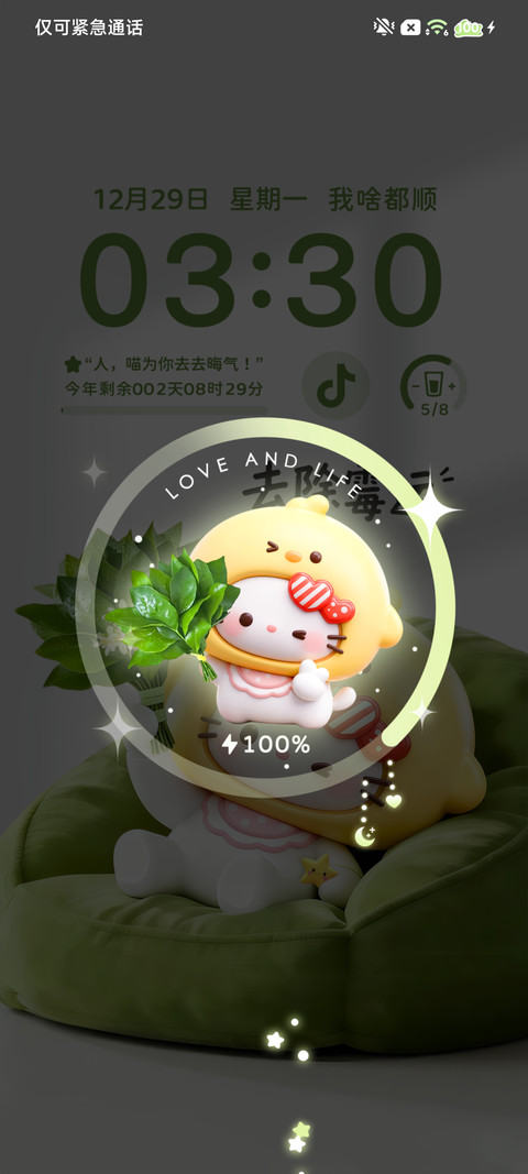 可爱立体柚子叶小猫 screenshot