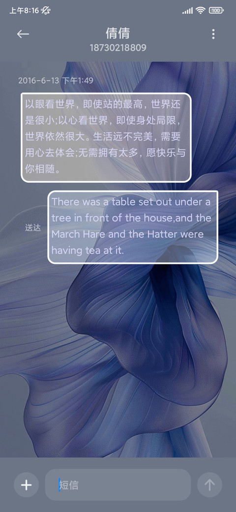 简约 丝绸蓝 screenshot