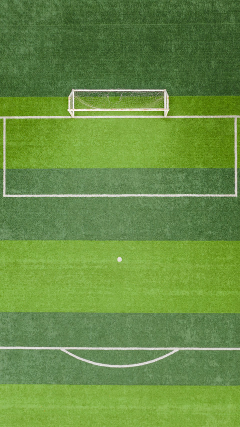 Aerial view of the football field penalty area screenshot