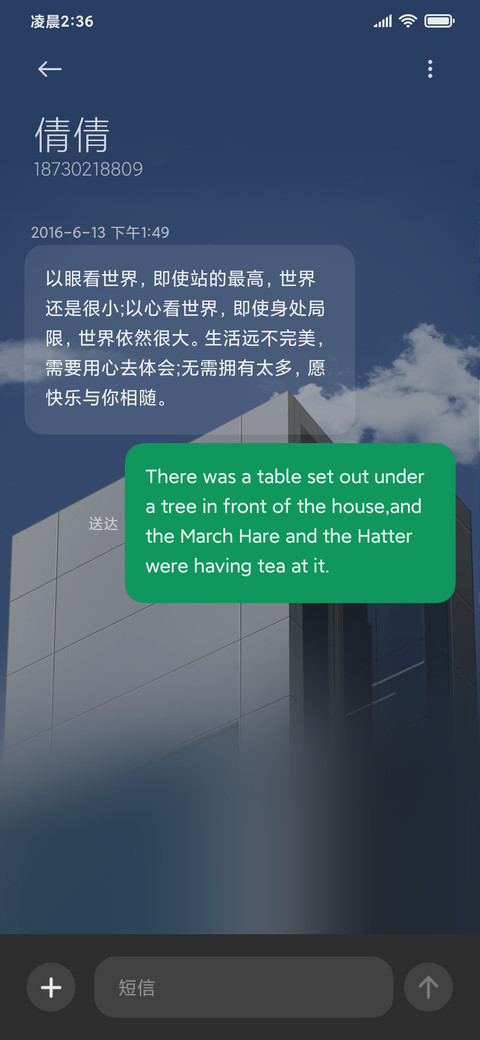 开屏动画 商务大厦 screenshot