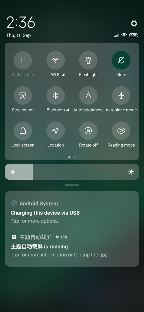 Bright green screenshot