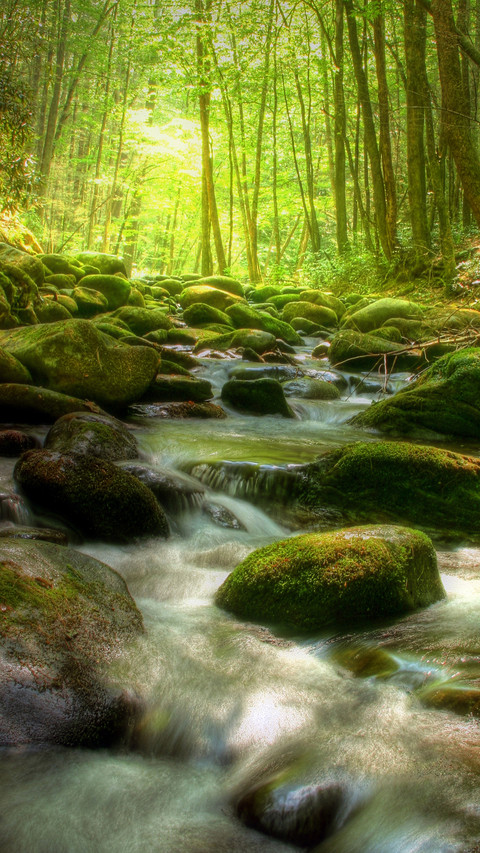 Natural rivers screenshot