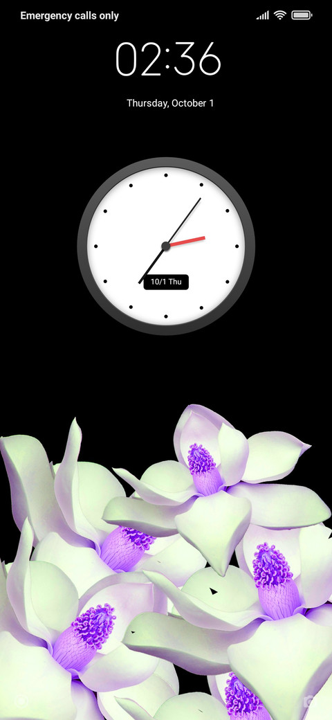 Flolola_DWM20 screenshot