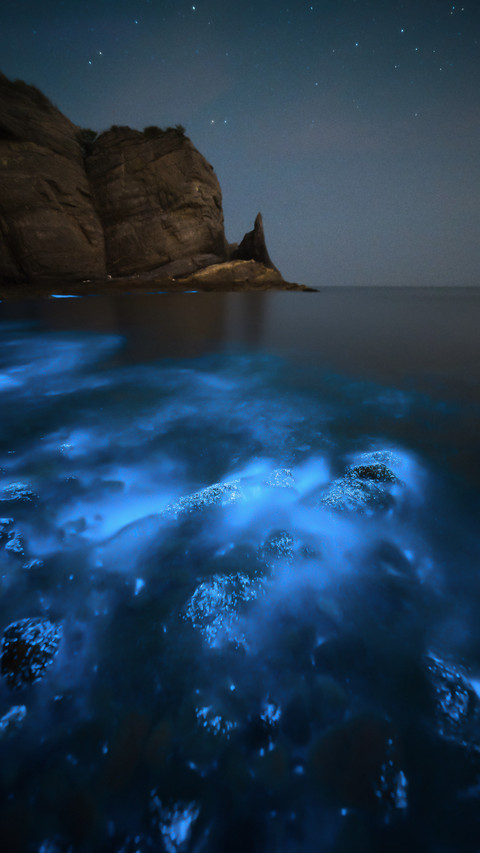 探秘网红“荧光海滩” screenshot
