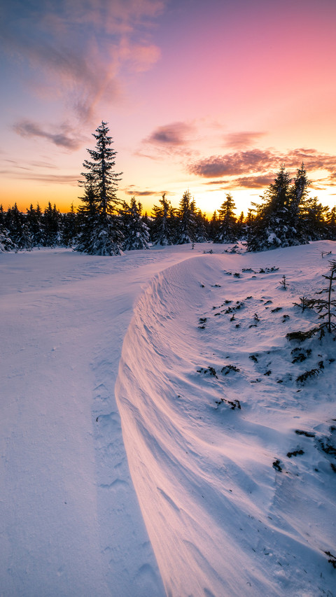 Winter Snow Scenery screenshot