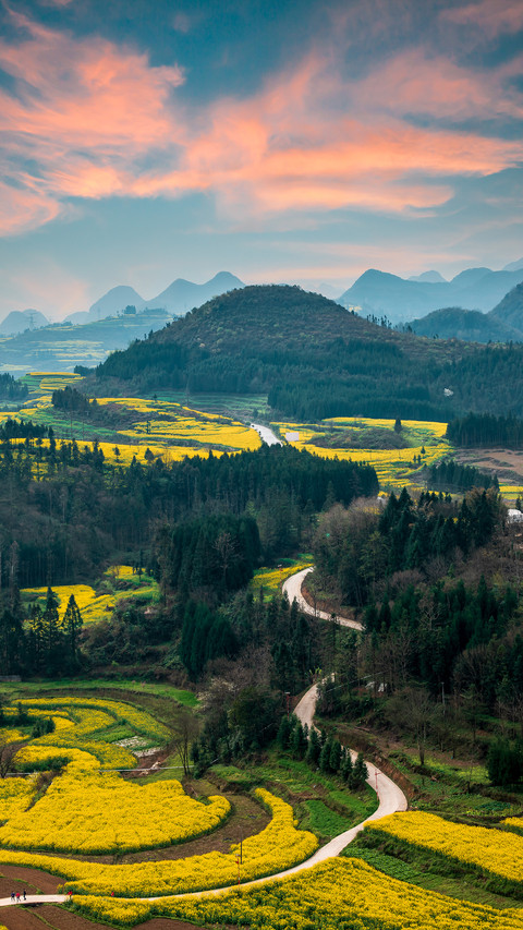 Spring with blooming rapeseed fields screenshot