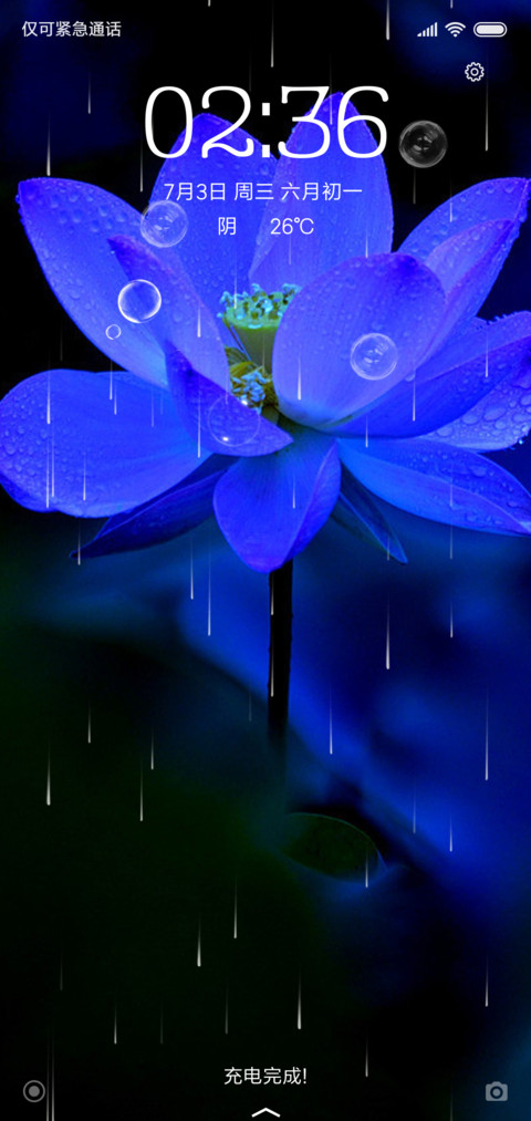 夏夜蓝莲花 screenshot