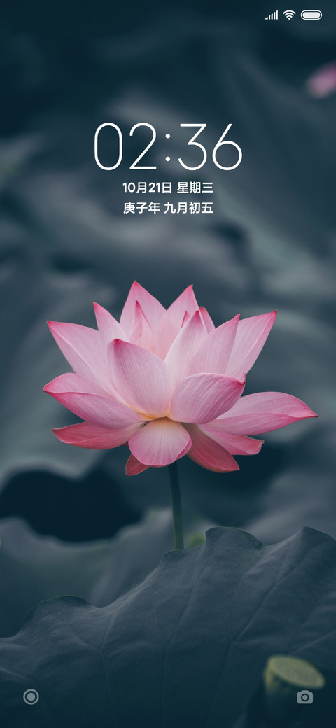 绿色水芙蓉 screenshot