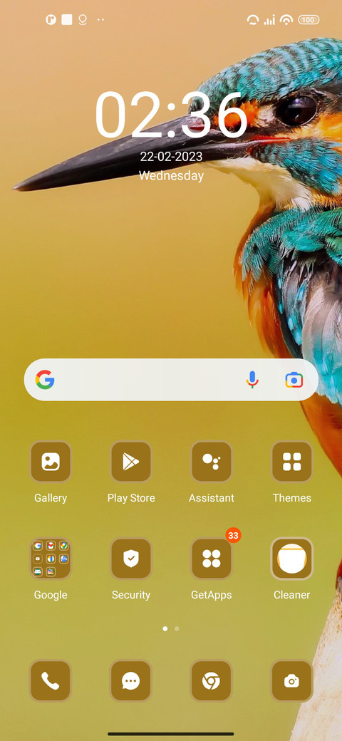 Kingfisher Bird screenshot
