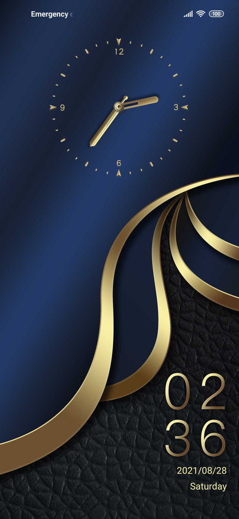 Business luxury screenshot