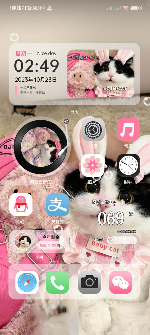双拼甜心猪咪 screenshot