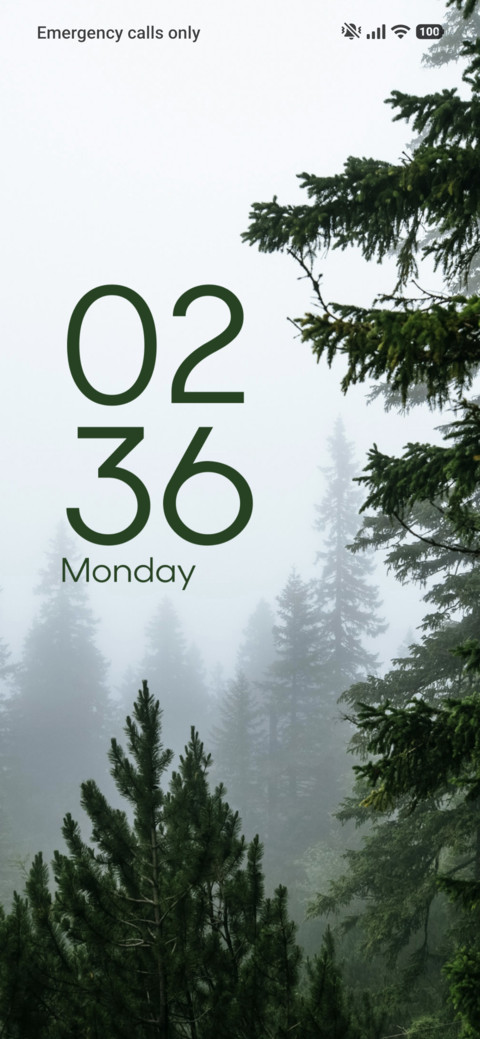 Veiled Forests screenshot