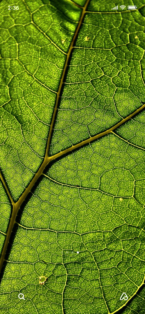 nature greeny screenshot