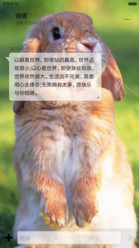 可爱萌兔 screenshot