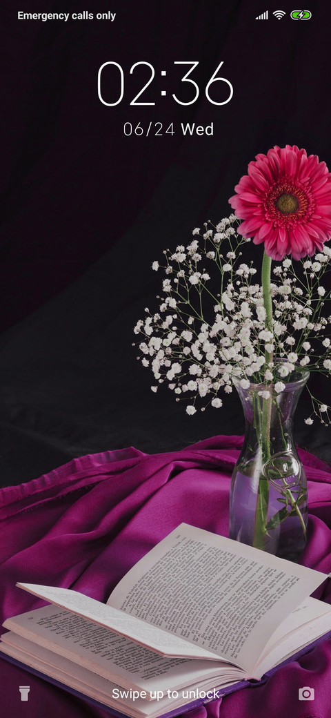 Book and flowers_3MDS screenshot