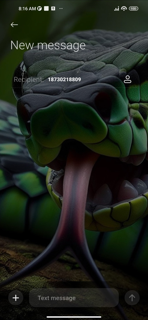 Reptile screenshot