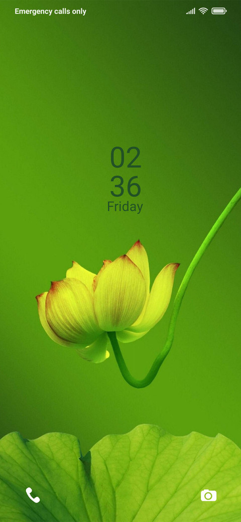 Lily_DWM19 screenshot