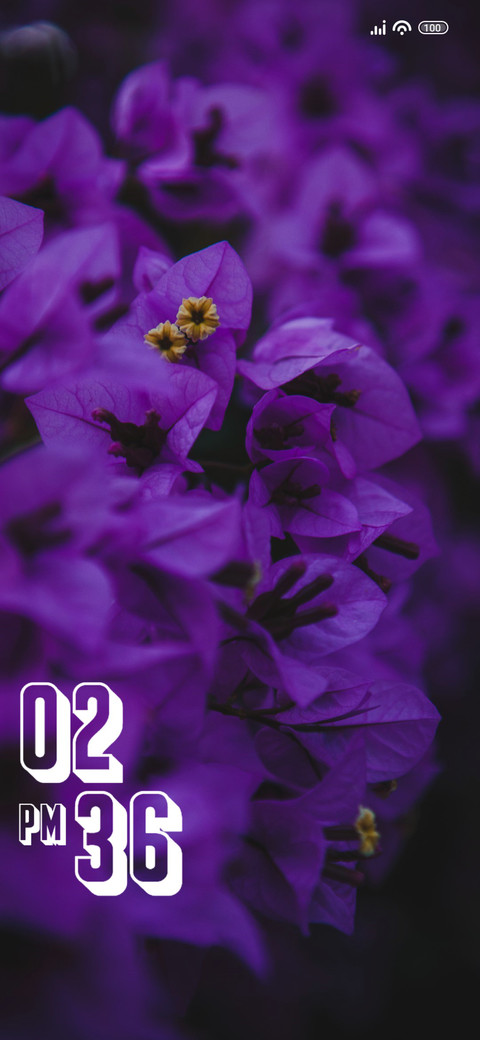 Plant screenshot