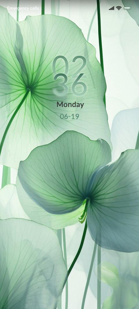 Green Lotus Leaf screenshot