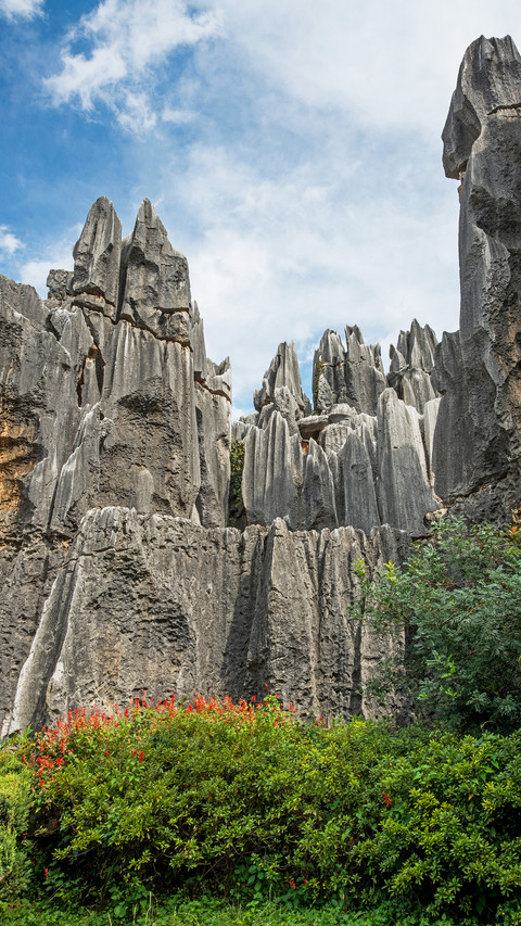 Stone forest screenshot