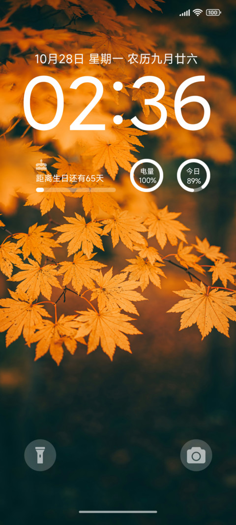 一叶知秋 screenshot