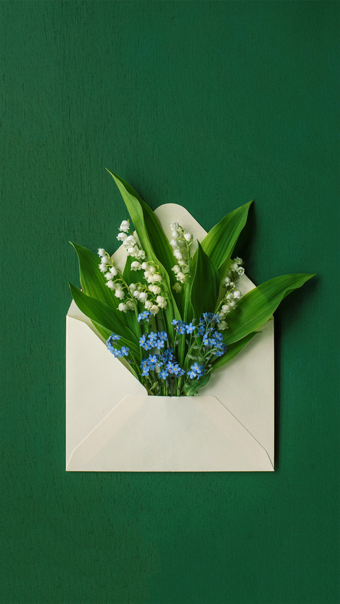 A Letter from Spring screenshot