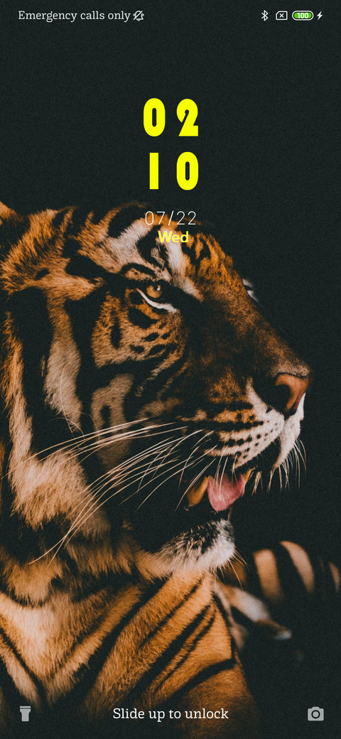 Tiger - Dark_3MDS screenshot