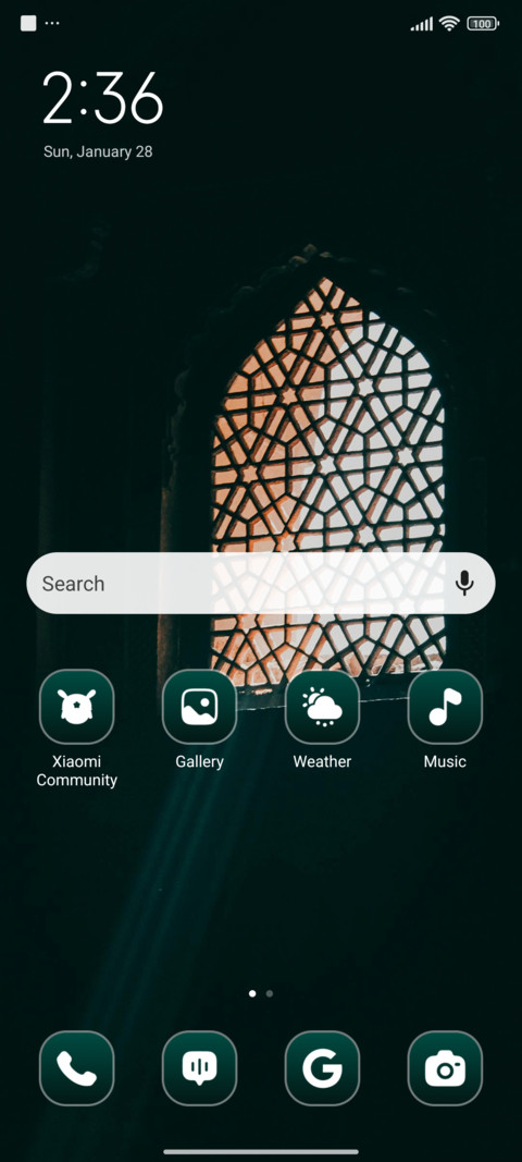 Ornate Window screenshot