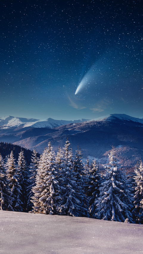 Snow Mountains And Forests Under The Stars screenshot