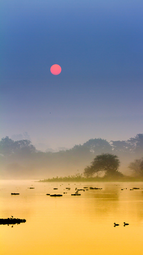 India-Misty Morning screenshot