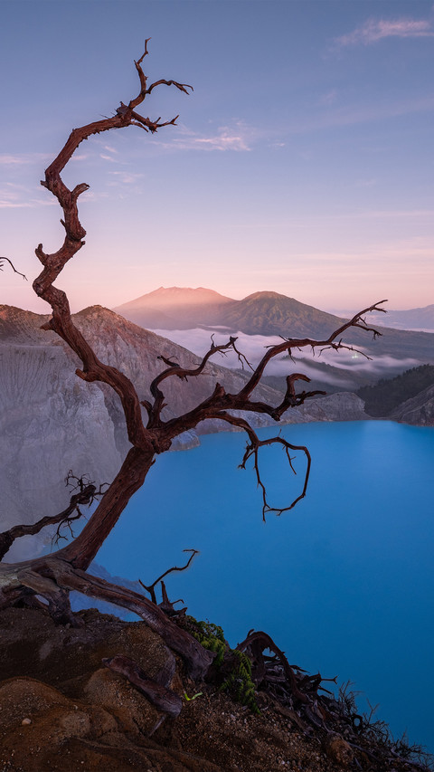 Volcanic blue lake and dead wood screenshot