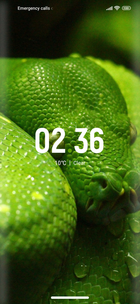 Python_snake screenshot