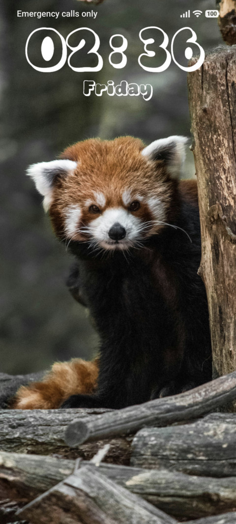Baby Panda screenshot