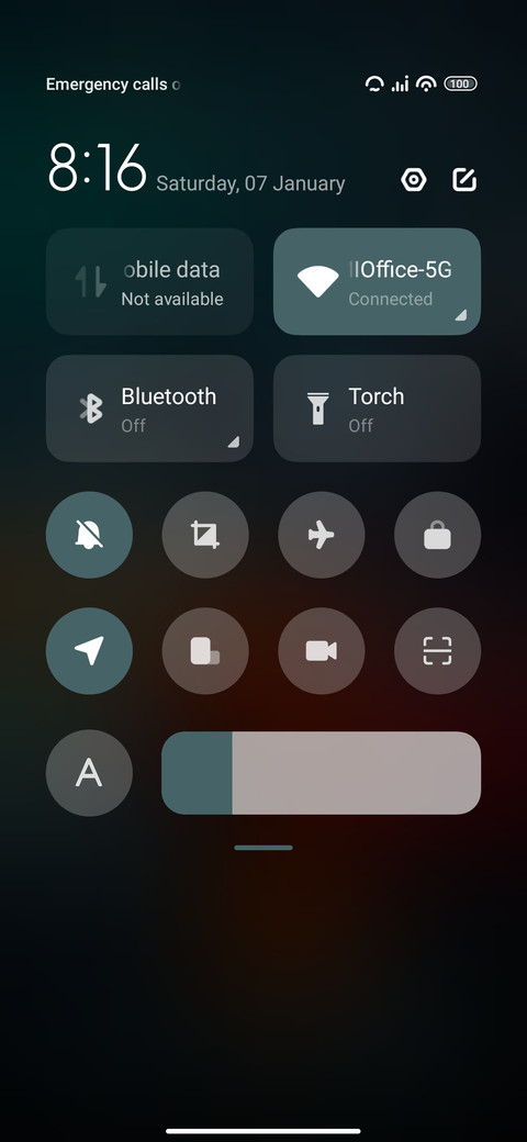 Bridge screenshot