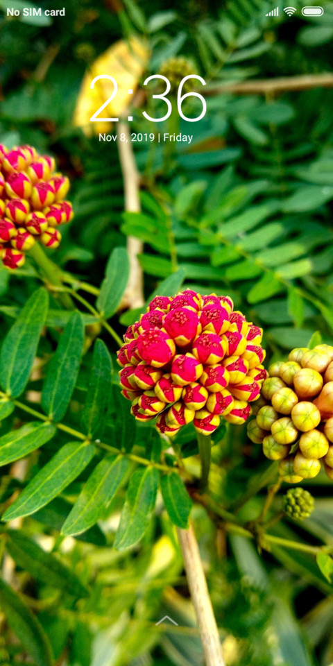 Flower coating_DWM3 screenshot