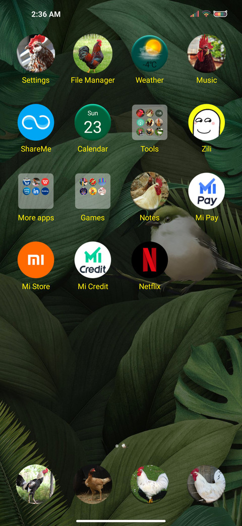 Rooster Chicken screenshot