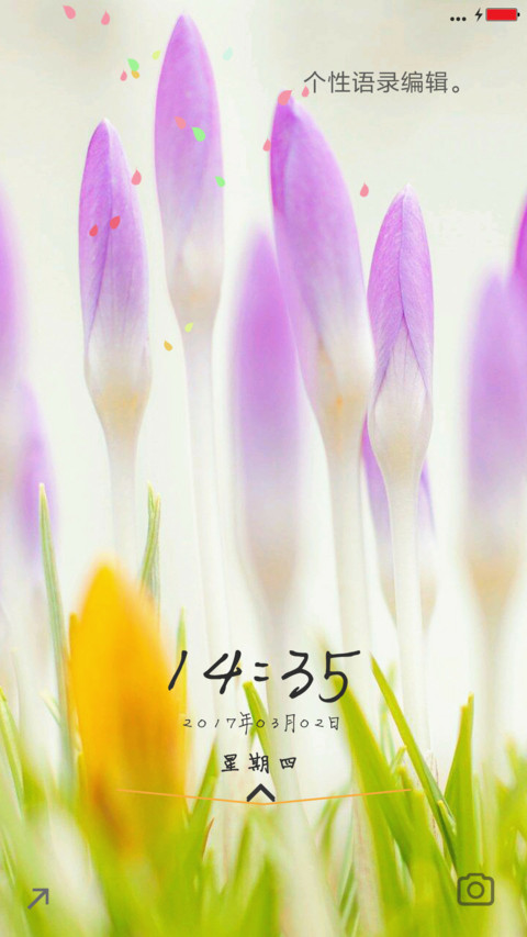 花之微距 screenshot