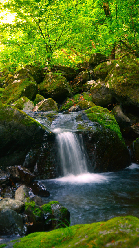 Waterfalls in the forest screenshot