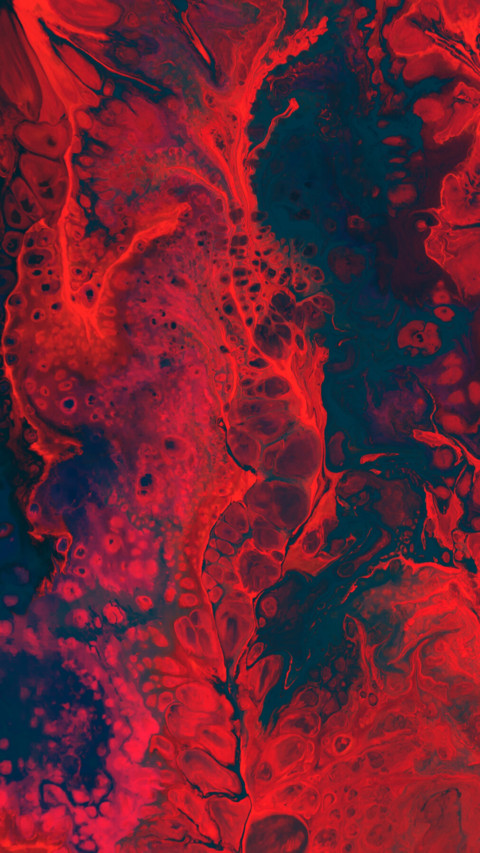 Macro  (19) screenshot