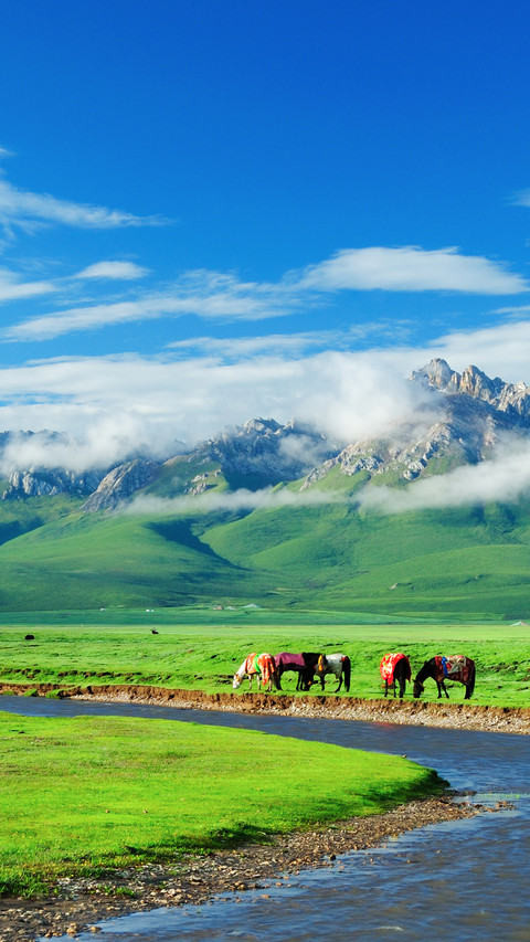 Natural scenery of the qinghai tibet plateau screenshot