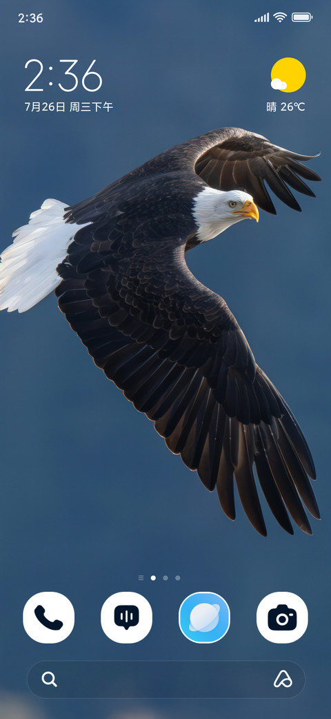 Soaring Eagle screenshot
