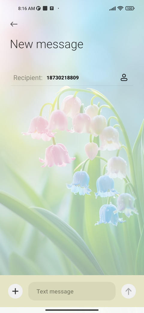 lily of the valley screenshot