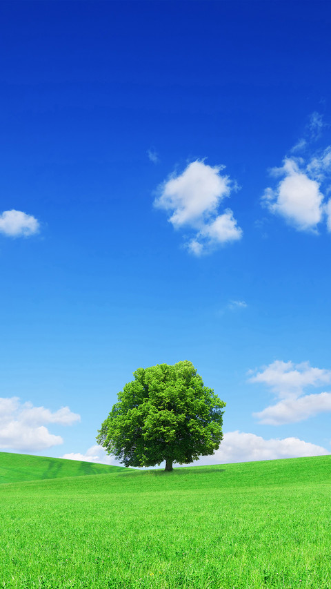 Eye protection and fresh grass screenshot