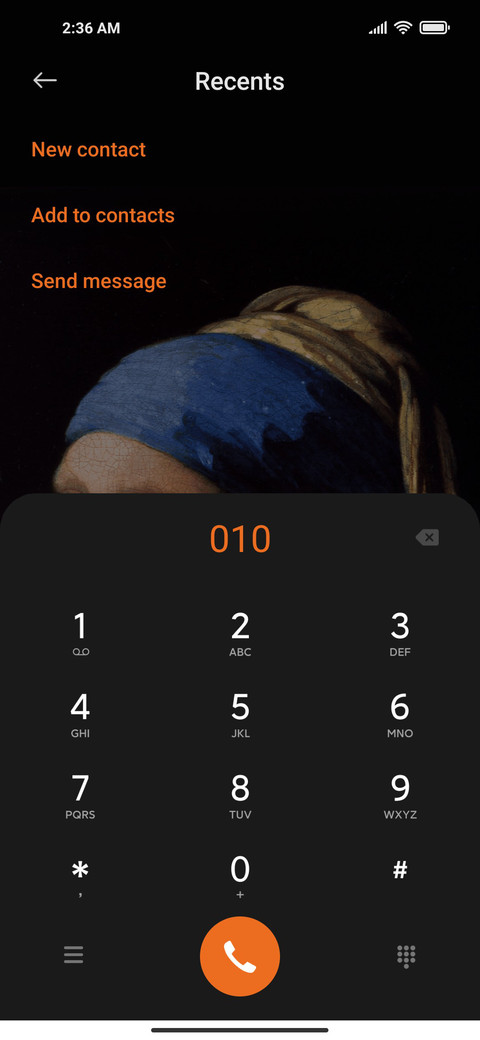 Pearl earring screenshot