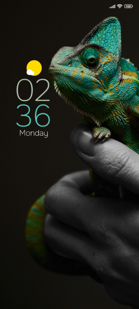 Reptile screenshot