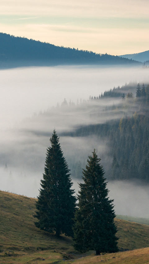 Landscape screenshot