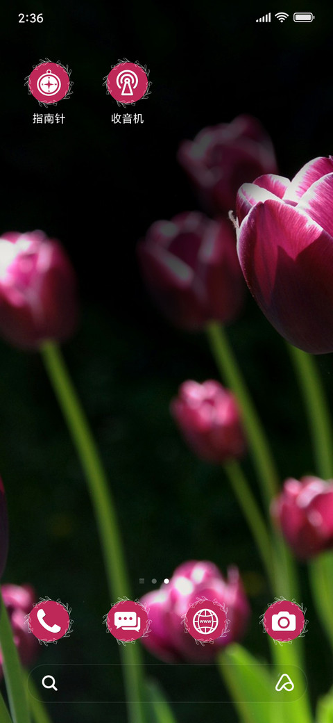 Tulips_3MDS screenshot
