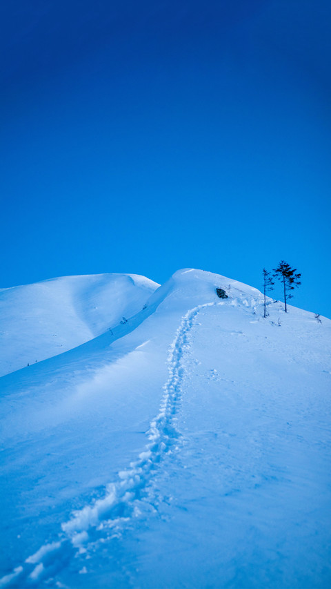 Overlooking the snow-capped mountains screenshot